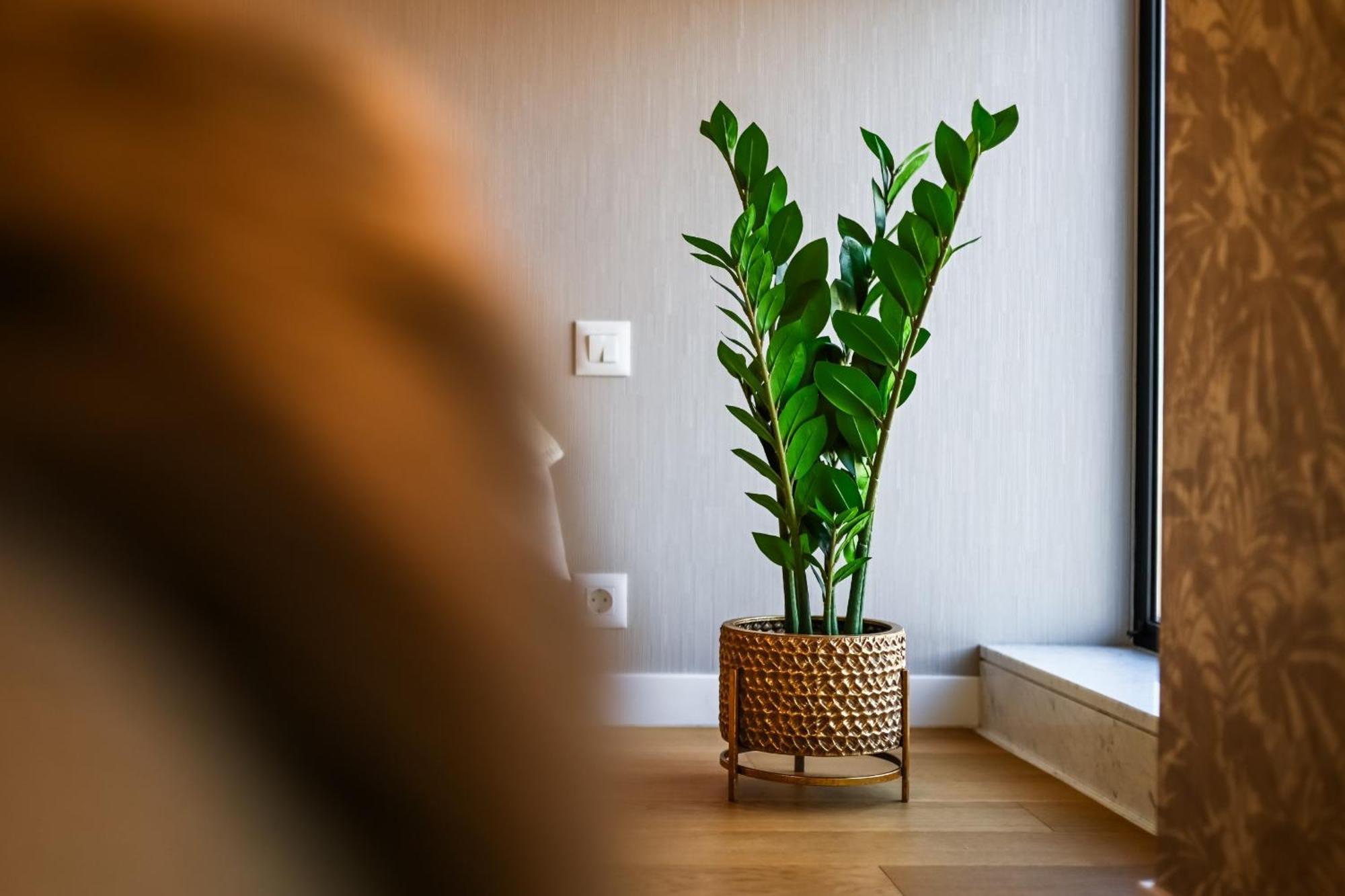 One Verdi Park Exclusive Apartments - Panoramic View & Private Parking Bucarest Chambre photo